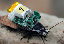 Японские ученые создали управляемых светом кибертараканов