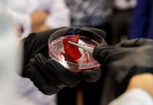 Ростовские биоинженеры предложили 3D-печать мясных продуктов