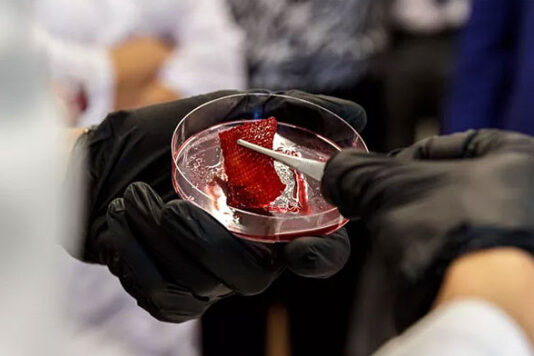 Ростовские биоинженеры предложили 3D-печать мясных продуктов