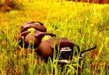 Робот-сороконожка выходит на борьбу с сорняками