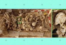 Странный конический череп из древнего захоронения озадачил ученых