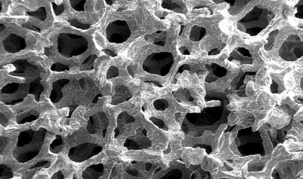 В Казани применили 4D-томографию для оценки пористых материалов