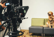 Виртуальные собаки-терапевты оказались на удивление эффективным средством от стресса