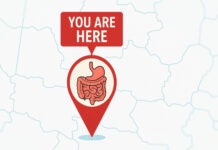 Анализ кишечной микробиоты может указать город вашего проживания с точностью 94 %