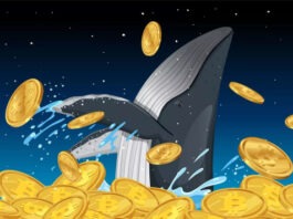 80 000 биткоинов стоимостью $8,6 млрд внезапно пришли в движение после 14 лет анабиоза