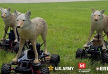 Роботы-койоты будут защищать базы ВВС США от птиц и диких животных