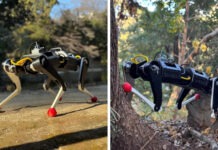 Робопес KLEIYN с гибким позвоночником имеет в своем арсенале несколько весьма необычных трюков