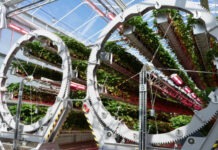 На ферме Dyson выращивают клубнику в гигантских роботизированных колесах