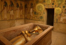 Грибок-убийца из гробницы Тутанхамона оказался ключом к лечению лейкемии