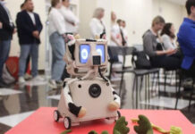 Робот «Барабашка» поможет людям с глубокой депрессией