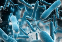 В Новосибирске разработали тесты для оперативного выявления коклюша