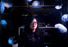 Кибер-медузы помогут исследовать глубины Мирового океана