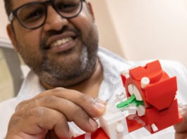 В США разработали технологию eye-ECMO, которая делает возможной пересадку глаз