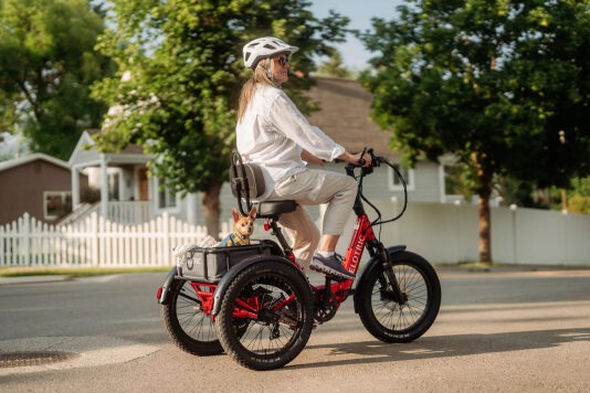 Могучий велотрайк Velotric может перевозить до 225 кг груза