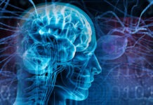 В Нижнем Новгороде тщательно изучили механизмы приступа эпилепсии