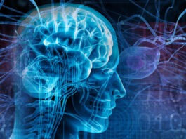 В Нижнем Новгороде тщательно изучили механизмы приступа эпилепсии