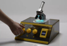 Живой слизевик поможет создать надежный криптографический ключ