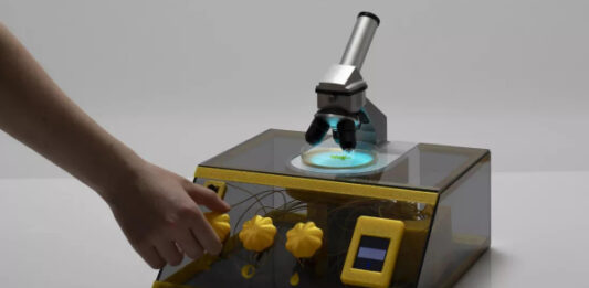 Живой слизевик поможет создать надежный криптографический ключ