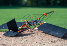 Череп дятла помог швейцарским инженерам создать дрон, который не боится ударов