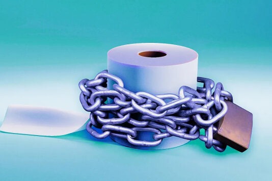 В китайских общественных туалетах нужно посмотреть рекламный ролик, чтобы получить бумагу