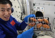 На китайской космической станции впервые пожарили курочку-гриль