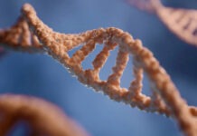 Ученые при помощи ИИ секвенирует геномы всех населяющих Землю видов