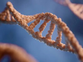 Ученые при помощи ИИ секвенирует геномы всех населяющих Землю видов