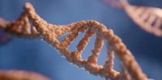 Ученые при помощи ИИ секвенирует геномы всех населяющих Землю видов