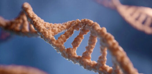 Ученые при помощи ИИ секвенирует геномы всех населяющих Землю видов