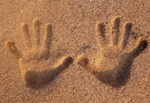 Английские инженеры обучат роботов редкому шестому чувству