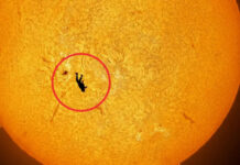 Это фантастическое фото прыжка «сквозь Солнце» является подлинным