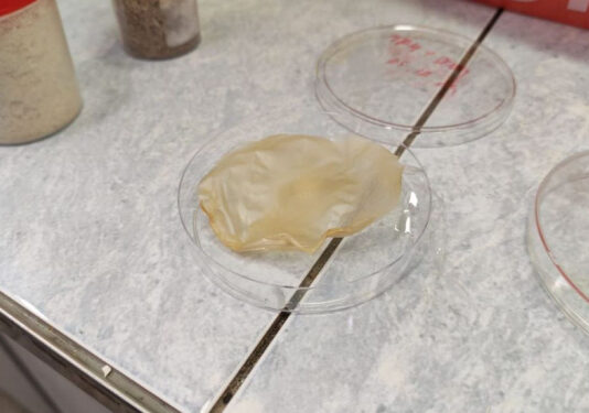 В Новосибирске придумали, как делать электроизоляцию из травы