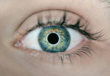 Напечатанная на 3D-принтере роговица вернула зрение слепому пациенту