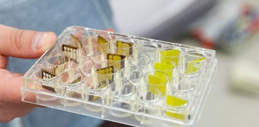 В УрФУ выяснили, как сделать датчики излучений долговечными