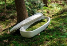 В Голландии разработали первый в мире биоразлагаемый гроб из грибов