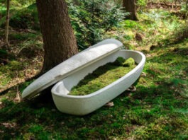 В Голландии разработали первый в мире биоразлагаемый гроб из грибов