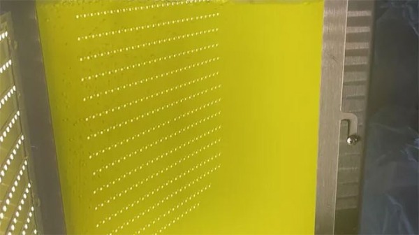 В России предложили делать детские смеси из микроводорослей