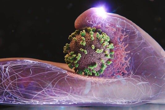 Новый микроскоп позволил ученым впервые увидеть, как вирус проникает в живую клетку