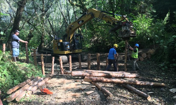 Бобровые плотины оказались идеальным инструментом для контроля за климатом северных регионов