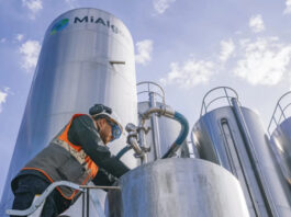 Новым источником омега-3 жирных кислот станут отходы производства виски