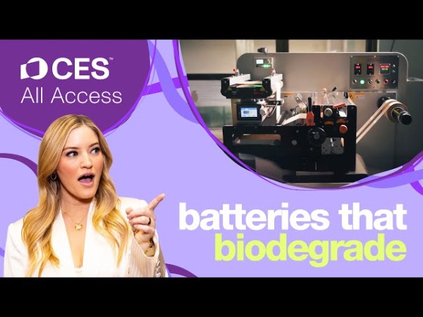 Бумажные батарейки из Сингапура готовы завоевывать рынок