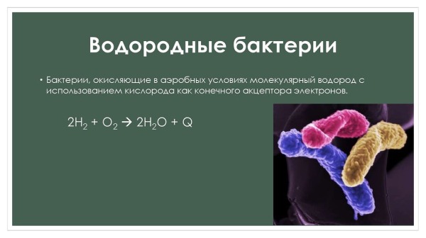 Как получают водород: современные технологии и будущее водородной энергетики