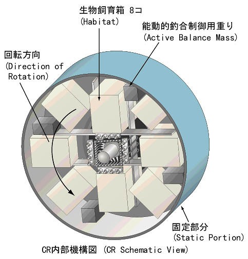 Искусственная гравитация: зачем она нужна и как ее создать в космосе