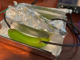 Аудиофилы не смогли отличить музыку, переданную через медный кабель, банан и мокрую грязь