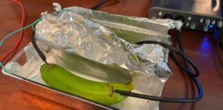 Аудиофилы не смогли отличить музыку, переданную через медный кабель, банан и мокрую грязь