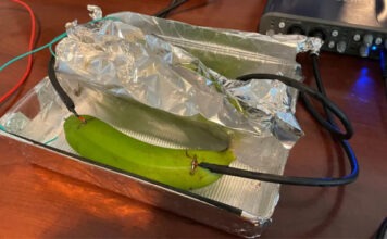 Аудиофилы не смогли отличить музыку, переданную через медный кабель, банан и мокрую грязь