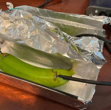 Аудиофилы не смогли отличить музыку, переданную через медный кабель, банан и мокрую грязь