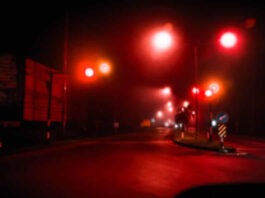 В Дании появится новая улица красных фонарей — сугубо в научных целях