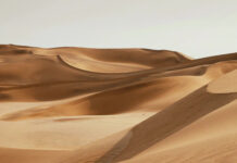 Древесная пыль превратит бесполезный песок пустынь в строительный бетон