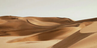 Древесная пыль превратит бесполезный песок пустынь в строительный бетон